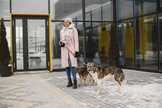 How To Potty Train A 6 Month Dog 1 How To Potty Train A 6 Month Dog