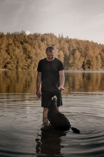 How To Train Your Dog How To Use A Crate 1 How To Train Your Dog How To Use A Crate