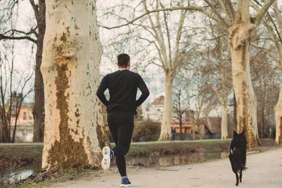 How To Train Your Dog To Use Communication Buttons How To Train Your Dog To Use Communication Buttons