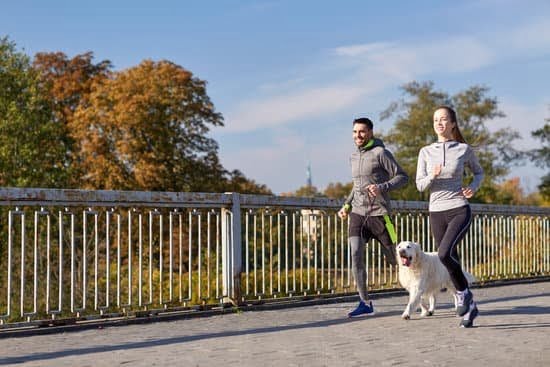 How To Use A Bell To Train Your Dog 1 How To Use A Bell To Train Your Dog