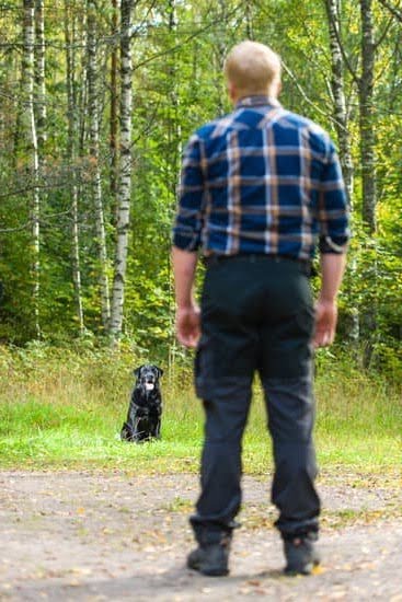 How To Use The Clicker To Train Your Dog How To Use The Clicker To Train Your Dog