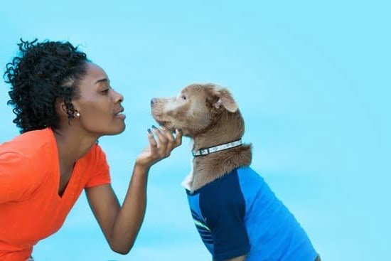 Where To Train Your Dog To Be A Service Dog Where To Train Your Dog To Be A Service Dog