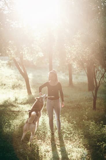 Which Dog Is The Easiest To Potty Train