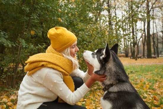 At Home Dog Training Program