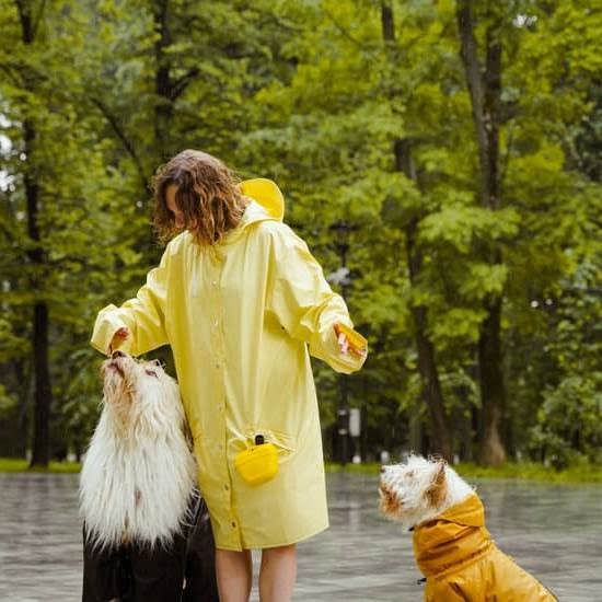 Brentwood Dog Training