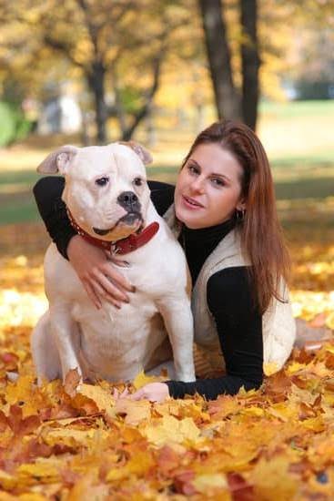 Dog Training Courses Online 1 Dog Training Courses Online
