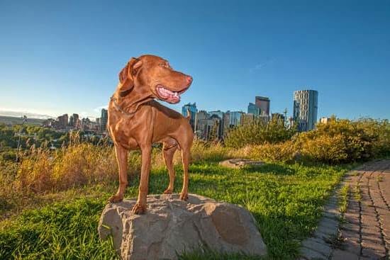 Easy Dog Training Methods 1 Easy Dog Training Methods