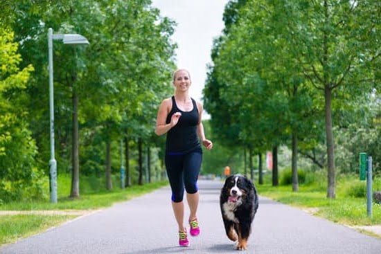 Good Dog Training Greencastle Pa 1 Good Dog Training Greencastle Pa