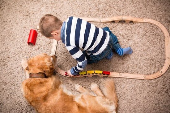 How to Train a Dog to Warn of Allergens