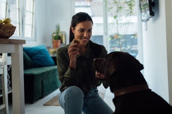 How to Train Guard Dog Doberman How to Train Guard Dog Doberman