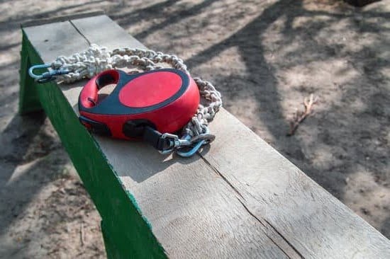 How to Train Your Dog to Bark How to Train Your Dog to Bark