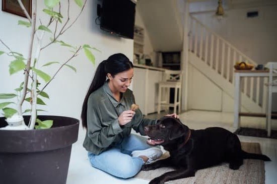 How to Train Your Dog to Graze 1 How to Train Your Dog to Graze