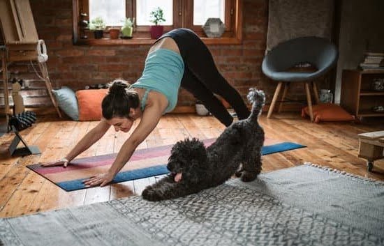 10 Most Difficult Dogs to Train 10 Most Difficult Dogs to Train