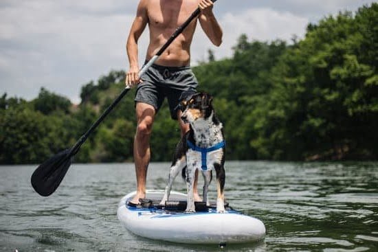 Dog Training Contract Sample