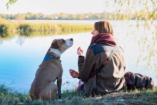 Dog Training in Berkshire