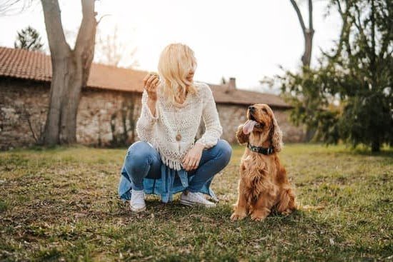 How to Train Dog to Stop Standing on Me