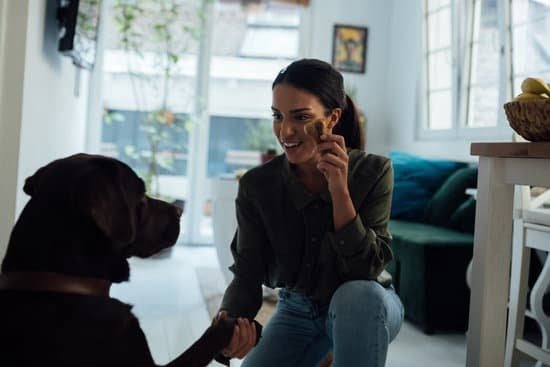 How to Train Your Psychiatric Service Dog How to Train Your Psychiatric Service Dog