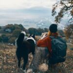 Suggestions for training a dog to behave politely off leash: effective tips, techniques, and strategies