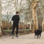 How to Train Your Dog Not to Jump on Couch Step-by-step guide: Training your dog to avoid jumping on the couch