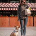 How to Train a Good Guard Dog Step-by-step guide on how to train a good guard dog for reliable home security