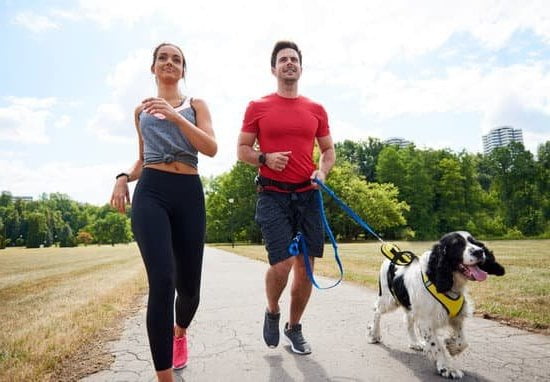 How to Train Your Dog to Respond to Their Name 1 Suggested alt text: Step-by-step guide on teaching your dog to respond to their name effectively