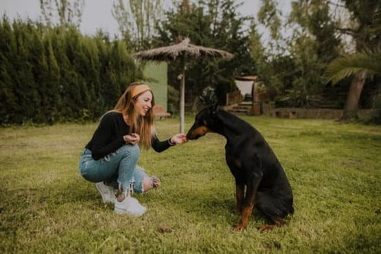 How to Train a Dog to Not Pee 1 Step-by-step guide on how to train a dog to not pee indoors