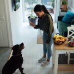Step-by-step guide on how to train excited dogs for optimal obedience