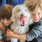 When Can You Start Tracking Training a Dog Suggested alt text: 'Find out when you can start tracking and training a dog with expert guidance'