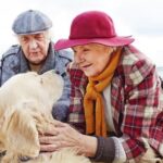 Do You Have to Be Mean to Train a Dog Do you have to be firm and assertive to effectively train a dog?