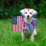 Do I Have to Register My Service Dog in Training Do I have to register my service dog in training? A helpful guide for handlers