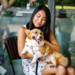 How to Train a Dog to Not Be Territorial Suggestion: Efficient techniques for training dogs to overcome territorial behavior in easy steps