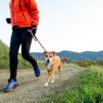 How to Train a Dog to Play Quieter Effective methods for teaching dogs to play quieter and follow commands correctly