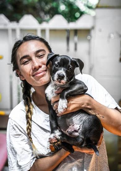 Step-by-step guide on teaching your dog to speak on cue and maintain silence when instructed