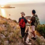 How to Train Your Dog to Bring You Things Step-by-step guide on how to train your dog to bring you items effortlessly