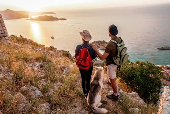 How to Train Your Dog to Bring You Things 1 Step-by-step guide on how to train your dog to bring you items effortlessly