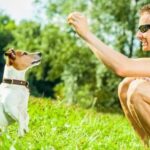 Will Ferrell holding a microphone, quoting funny dog training tips on stage