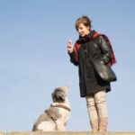 What to Expect from a Bird Dog Trainer: Expert guidance and training to enhance your hunting companion's skills