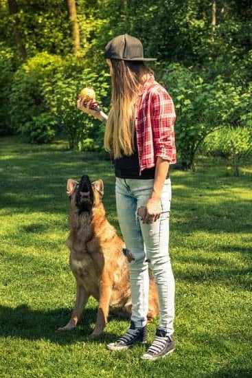 Step-by-step guide on how to train your dog to know its name quickly and effectively