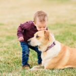 Tips for Successful Potty Training: Overcoming Challenges with Smaller Dogs