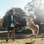 Should You Hit Dogs to Train Them Suggestions for Effective Dog Training Methods: Is Hitting Dogs Recommended or Counterproductive?