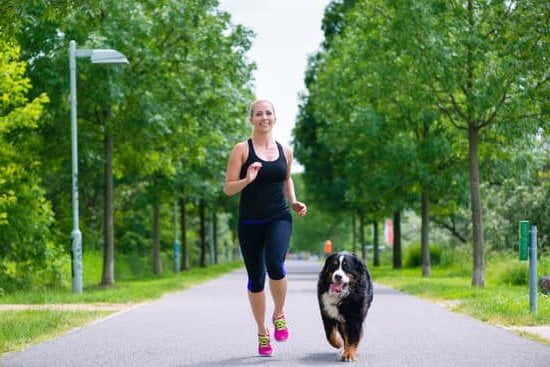 How to Potty.Train a Dog 1 Step-by-step guide on how to potty train a dog effectively