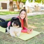 How to Train Your Own Alergy Alert Dog Step-by-step guide on how to train your own allergy alert dog for better safety