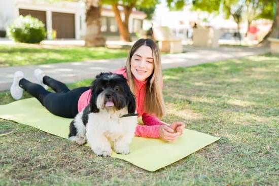 Step-by-step guide on how to train your own allergy alert dog for better safety