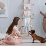 How to Train a Stray Dog Learn effective techniques and tips on how to train a stray dog at home