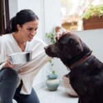 What Kind of Dog Training Trears Should I Use A variety of dog training treats to cater to different types of breeds and training needs