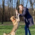 How to Train Dog to Stop Barking at Everything Step-by-step guide to teach your dog to stop barking at everything - effective training techniques