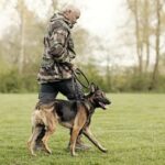 How to Train My Dog to Come Outside Step-by-step guide on training your dog to come outside, guaranteed success!