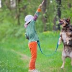 Become a professional dog trainer in Australia with our step-by-step guide