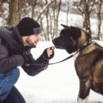 How to Train Your Dog to Come Back Inside Dog training: Teach your dog to come back inside using effective techniques