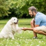 Step-by-step techniques used to train K9 dogs to expertly locate and track missing individuals